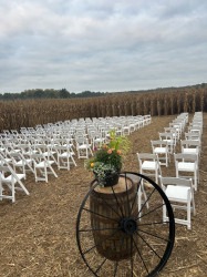 IMG 3937 1733425286 White Resin Chairs