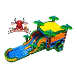 IMG 0506 1736542438 Cali Palms Dual Lane XL Combo