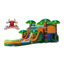 IMG 0507 1736542438 Cali Palms Dual Lane XL Combo