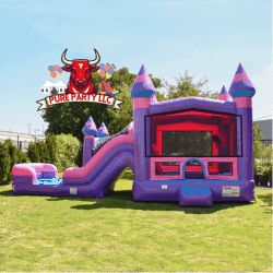 IMG 0655 1744464090 Princess Castle DUAL LANE COMBO