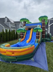 IMG 3033 1747705474 Cali Palms Dual Lane XL Combo