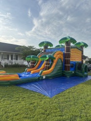 Cali Palms Dual Lane XL Combo IMG 3089 1747705475 Cali Palms Dual Lane XL Combo