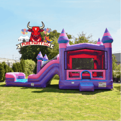 Princess Castle DUAL LANE COMBO IMG 0655 1744464090 Princess Castle DUAL LANE COMBO