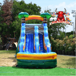 IMG 0657 1744463989 CALI PALMS 16FT WATER SLIDE