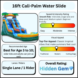 IMG 1414 1765335486 CALI PALMS 16FT WATER SLIDE