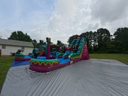 IMG 1118 1767552154 The Splash & Jump