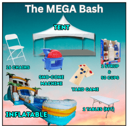 THE MEGA BASH