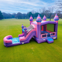 IMG 1733 1769439161 Princess Castle DUAL LANE COMBO